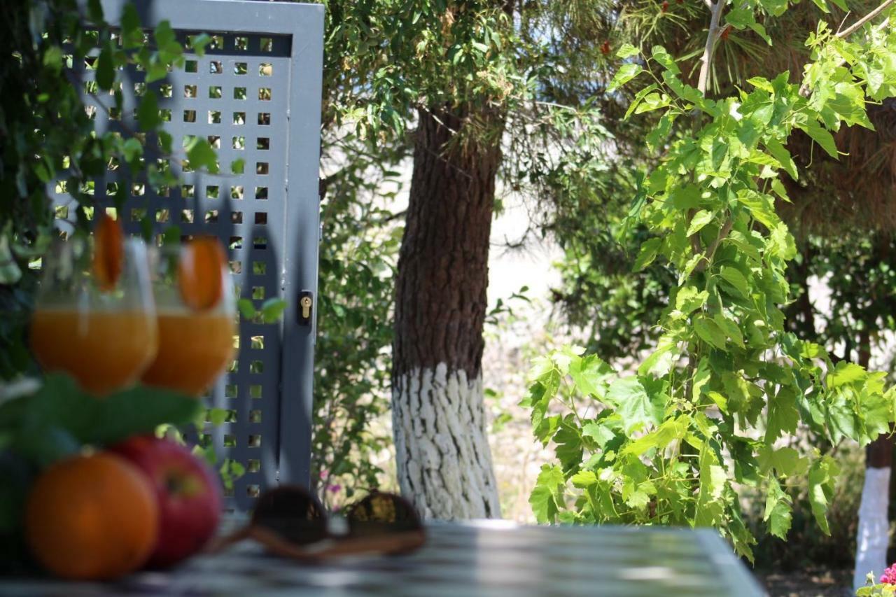Orange Garden Villa Aigio Exterior foto